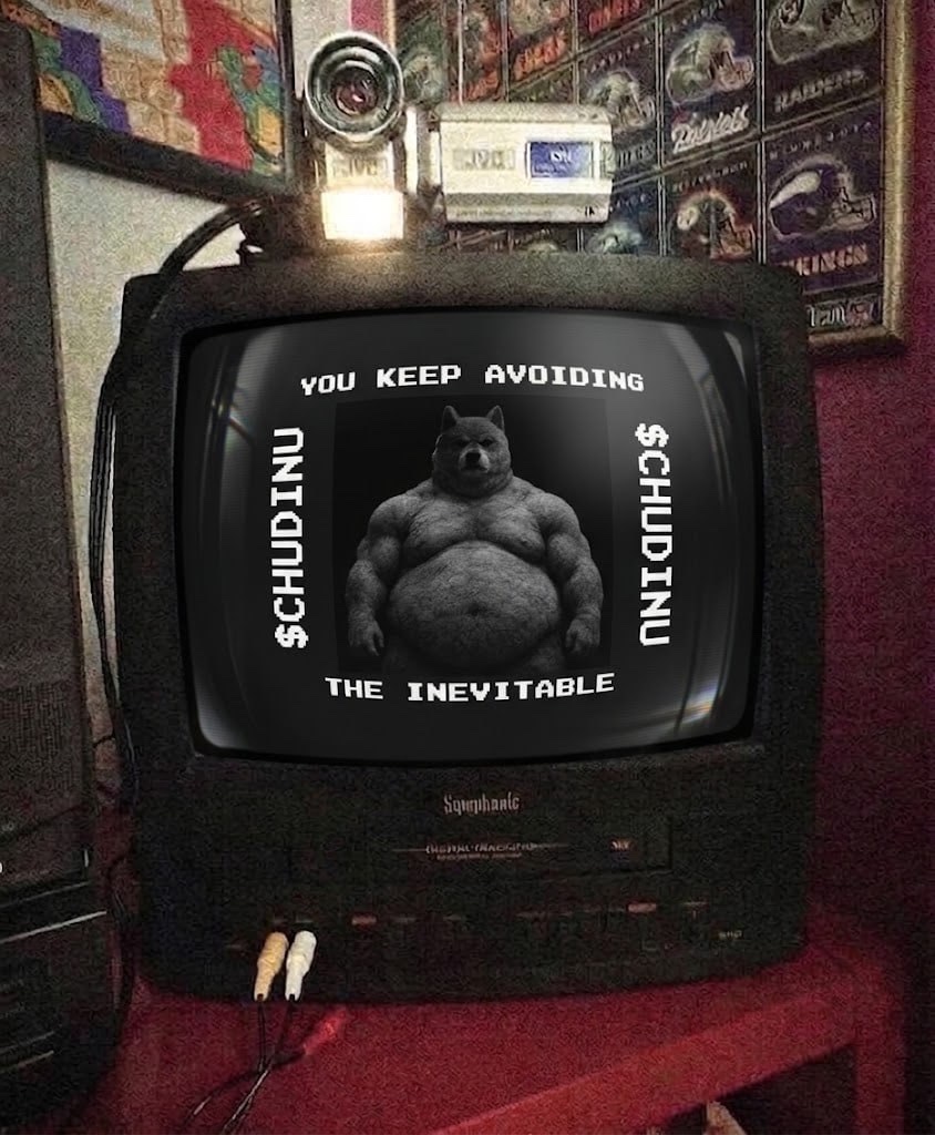 An old TV/VCR combo. On screen: you keep avoiding the inevitable. $CHUDINU.